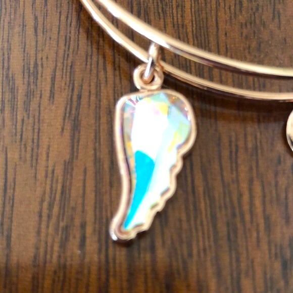Alex and Ani Guardian Wing Charm Bracelet - Picture 4 of 12